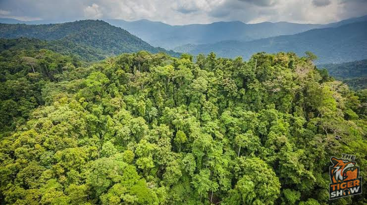 Enam pendaki termasuk dua kanak-kanak hilang di hutan Lojing, operasi SAR diperluas ke Perak